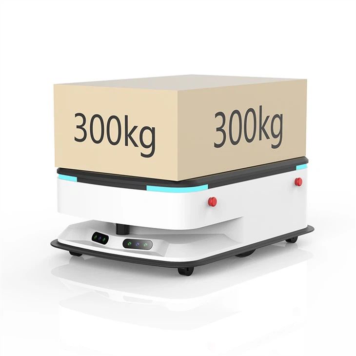 AMR300Kg_resultado AMR300Kg_resultado